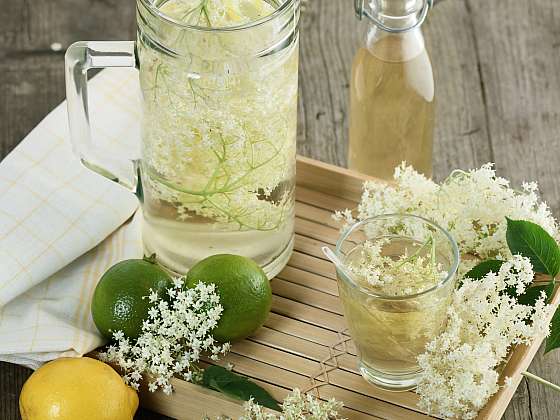 Vyzkoušejte výbornou limonádu z květů černého bezu, právě začíná kvést