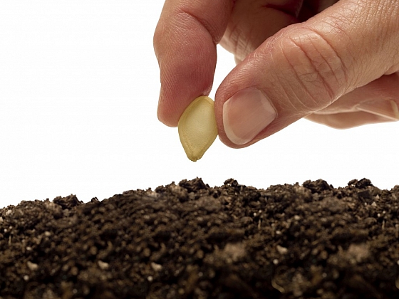 Otevřít: Nová moderní osiva a semena pro vaši zahradu