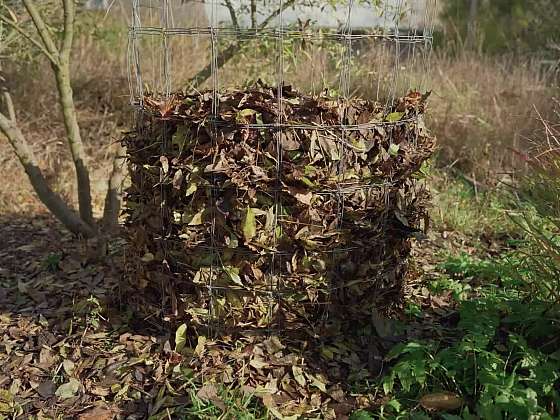 Kompostování spadaného listí