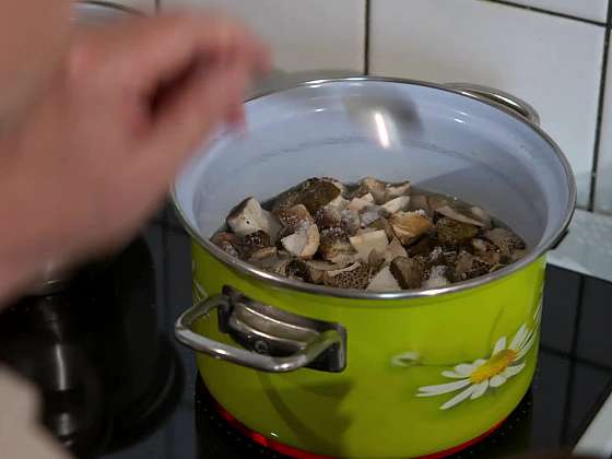 Vaření hub do polévky.