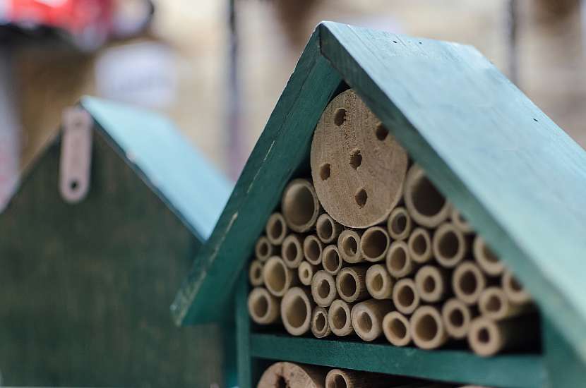 Soutěž o knihu Domečky pro včely a užitečný hmyz (Zdroj: Depositphotos)