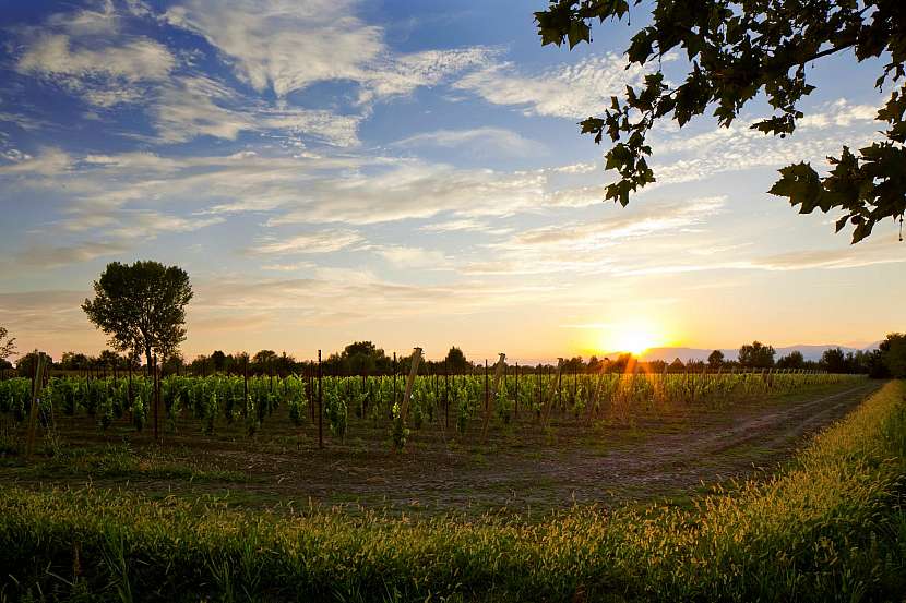 Z italského Veneto pochází oblíbené Prosecco