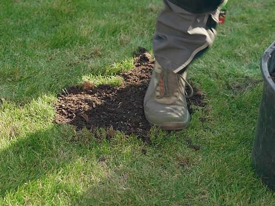 Trávník před zimou