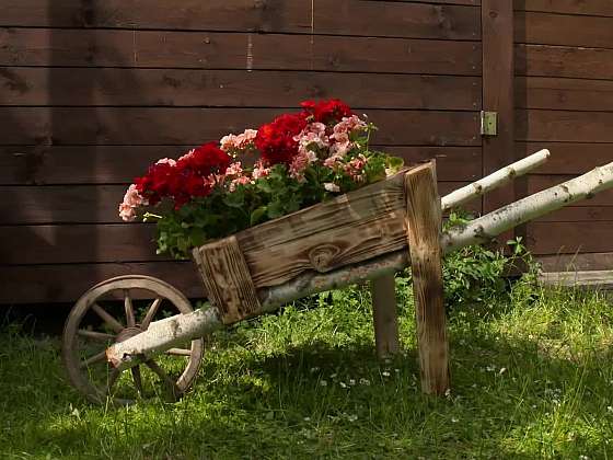 Jak vyrobit luxusní dřevěnou dekoraci na zahradu