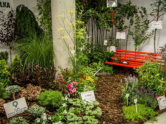 Letní Flora odkryje krásu a tajemství městských dvorků a vnitrobloků