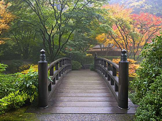 Japonskou zahradu můžete mít i v české vesnici