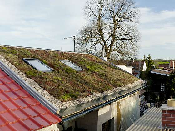 otevřít: Stavba střechy na letní kuchyni aneb Komu se nelení, tomu se zelení