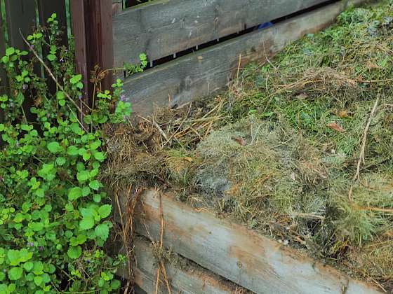 Co se zahradním odpadem