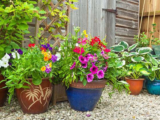 Truhlíky, džbery a květináče na hluchá místa na zahradě