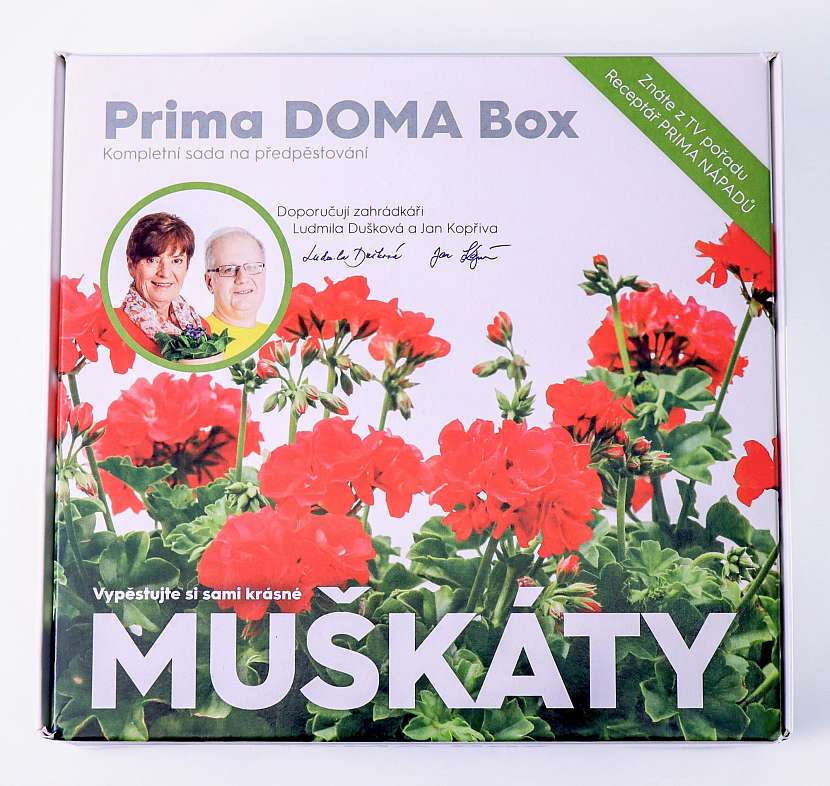 Sada pro pěstování muškátů Prima DOMA Box