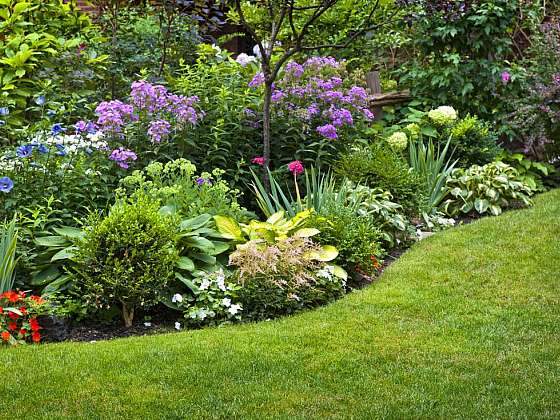 Jak správně založit zahradu