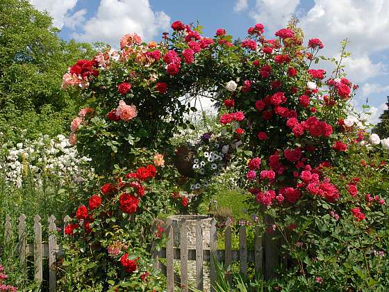 Romantiku jako z pohádky vykouzlí zahradní oblouk obrostlý popínavou růží