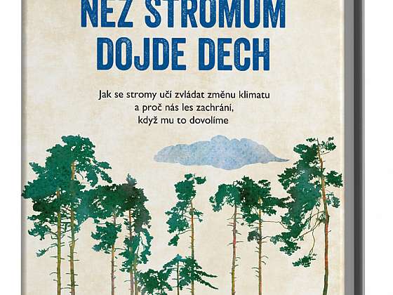 Peter Wohlleben: Než stromům dojde dech