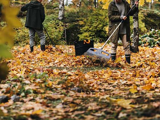 otevřít: Úklid listí – podzimní evergreen