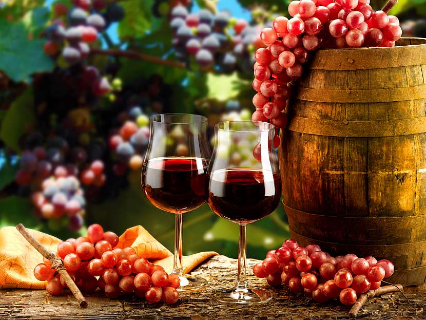 Na Moravě byly vyšlechtěny v posledních letech výborné nové druhy červených vín