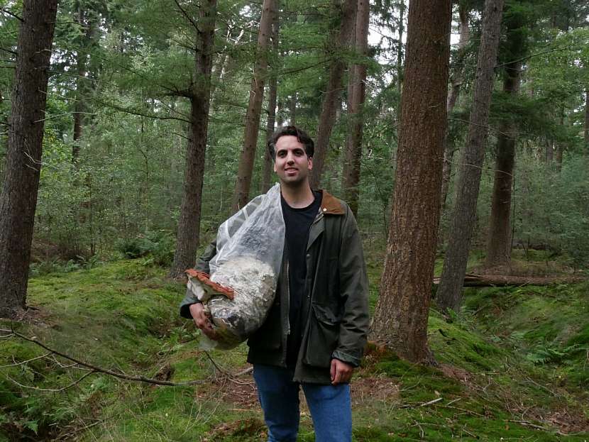 Při vývoji vycházel Hendrikx z poznání, že podhoubí – mycelium roste pod zemí v komplexní kořenové struktuře stromů, rostlin a hub.