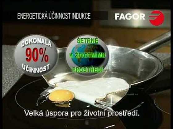 Co to je indukce?