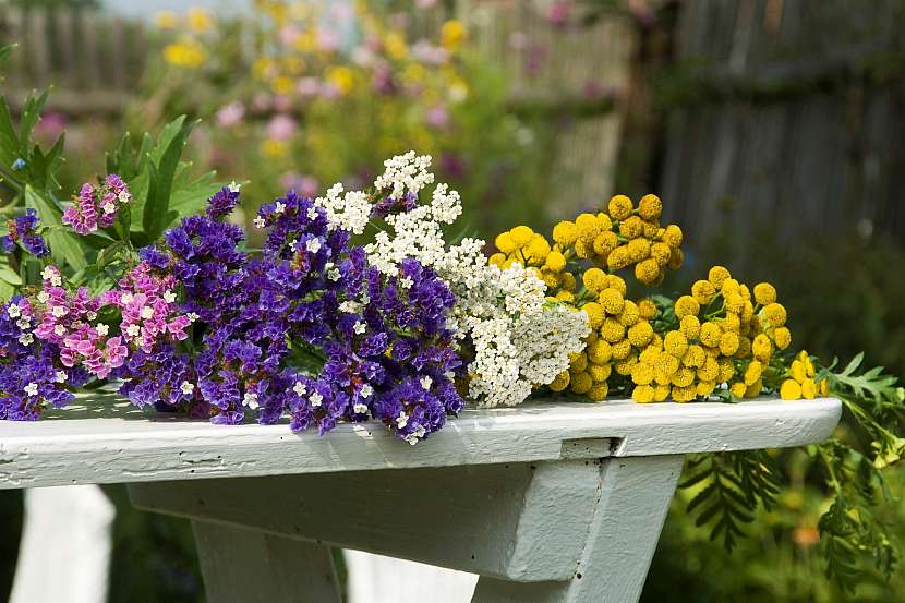 Nasušte si květiny pro tvorbu květinových aranžmá (Zdroj: Petra Hajská)