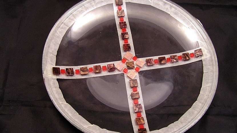 Mozaikový talíř: mozaiku začněte lepit ve středu talíře