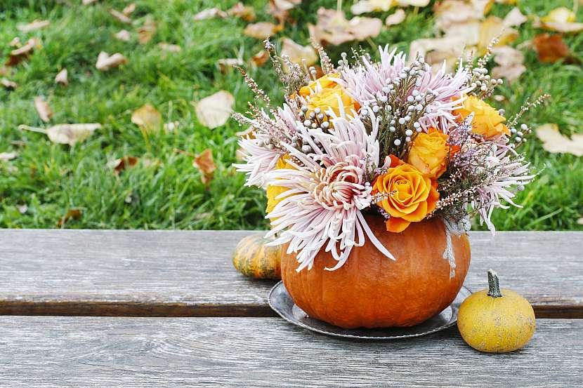 Podzimní květinovou vazbu  z chryzantém a dýně můžeme umístit i venku na terase (Zdroj: Depositphotos)