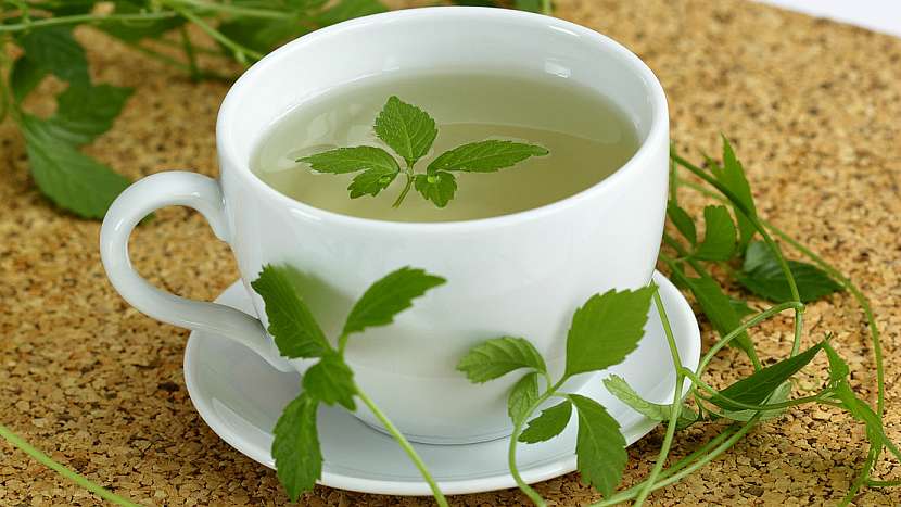 Léčivý čaj podporuje imunitu