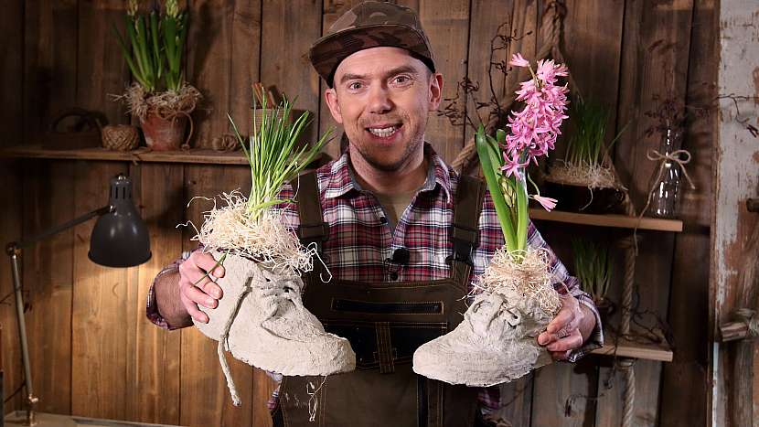 Betonové boty: do hotového květináče vložíme hrnkovou květinu