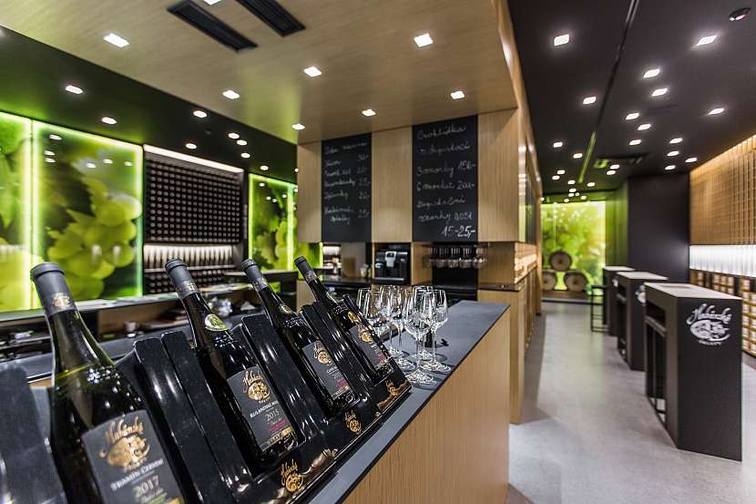 Vinařská turistika s degustací archivních vín u Habánů