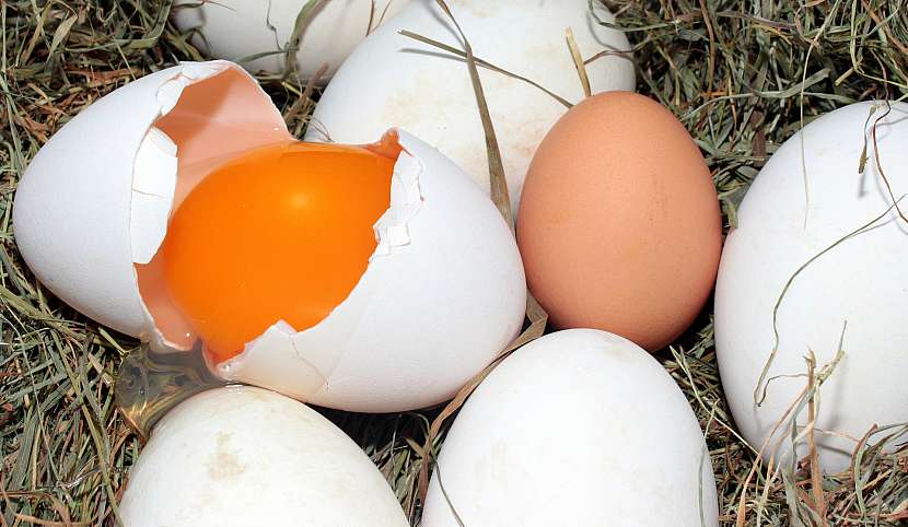 Barva vaječného žloutku však nemá vliv na kvalitu