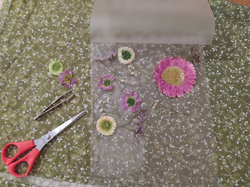 Vysušené květy pak vložte do laminovací fólie