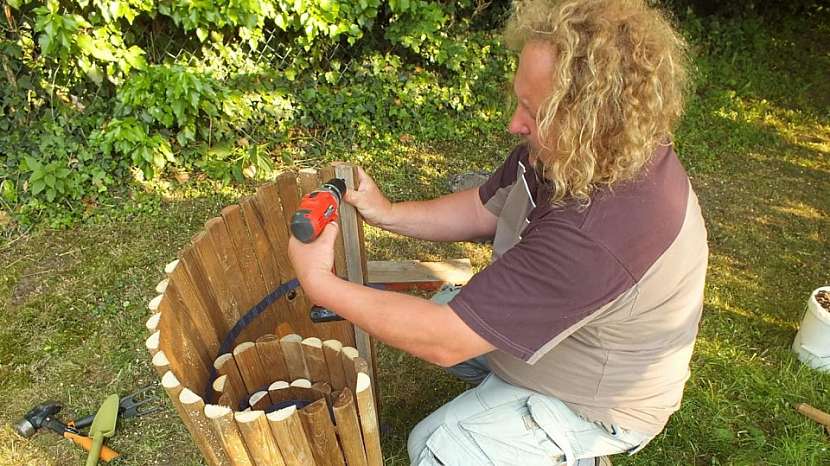 Bylinkový šnek: postupně odbalujeme plášť