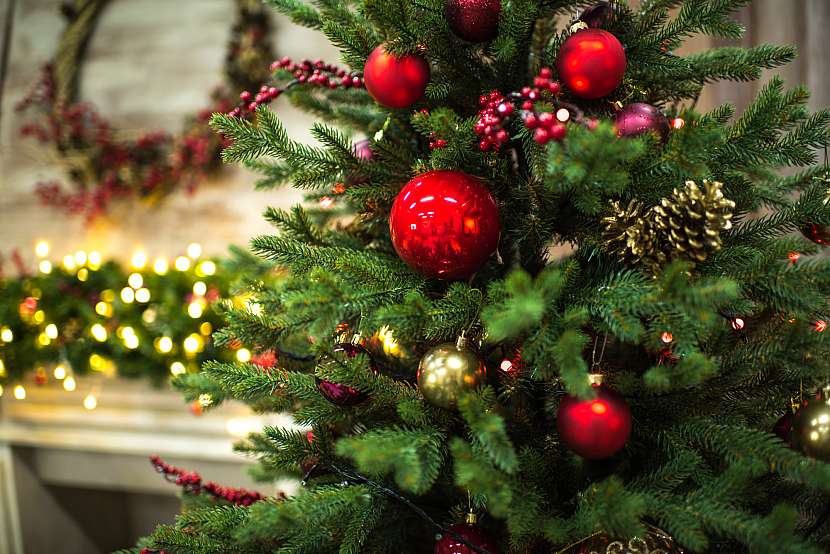 Pojistěte si svoje Vánoce a Silvestra (Zdroj: Depositphotos)