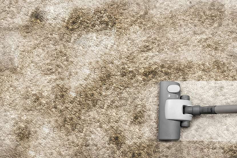 Tipy, jak vyčistit koberec snadno a rychle (Zdroj: Depositphotos)