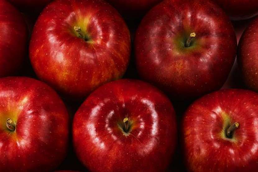 Kam na výlet: Jablka a jablečné speciality můžete  1