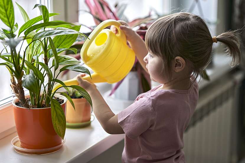 Zapojte svoje děti i do péče o rostliny, vysvětlete jim, že pokojovky se v zimě zalévají mnohem méně