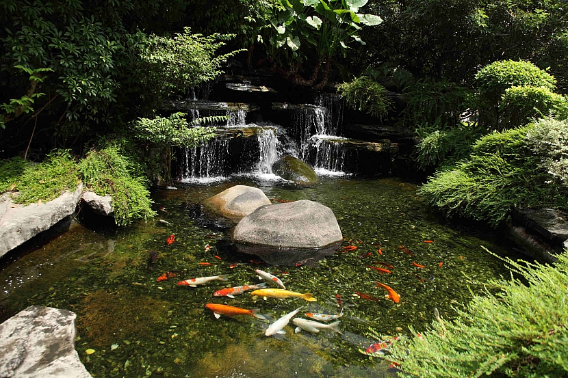 Kaskádovitý vodopád, rybníček s rybami