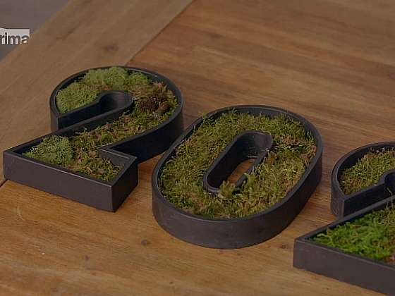 otevřít: Jak si pomocí mechu vyrobit dekorativní popisné číslo na dům?