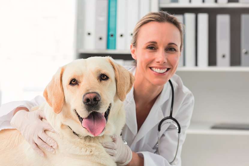 Veterinářka se psem