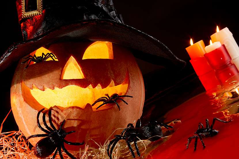 Pavouci mohou být i sušenkoví, na Halloween je vše dovoleno (Zdroj: Depositphotos (https://cz.depositphotos.com))