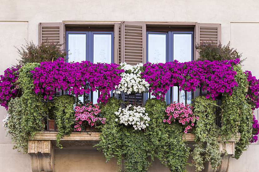 Rozkvetlé letní balkony lákají svou záplavou pestrých květů (Zdroj: Depositphotos)