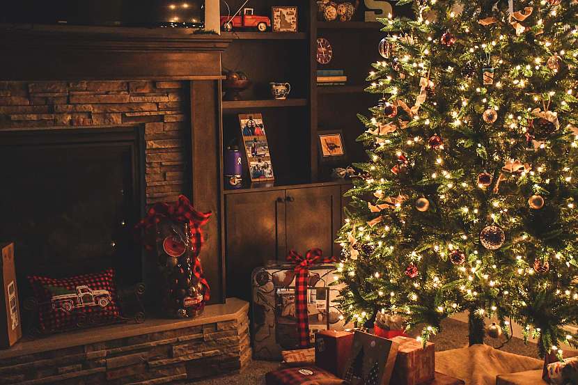 8 největších nebezpečí, která na vás číhají pod vánočním stromečkem (Zdroj: Pixabay)