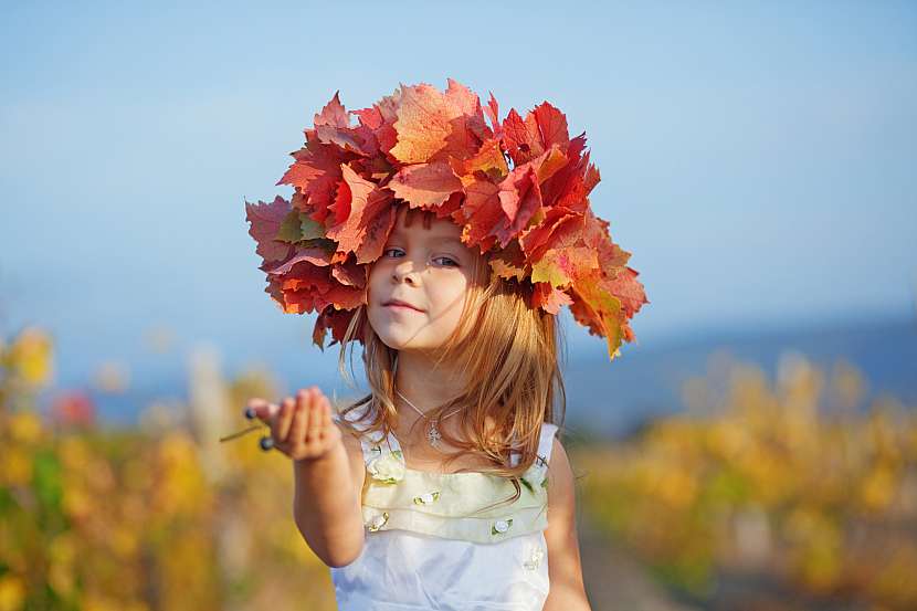 Podzimní věnec z listí působí hřejivě i nostalgicky (Zdroj: Depositphotos (https://cz.depositphotos.com))