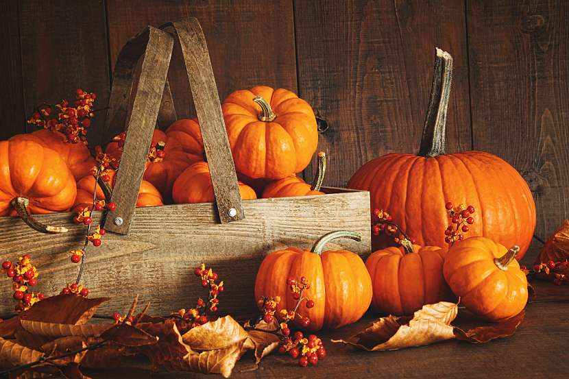 Jaké svátky slavíme v listopadu?
 (Zdroj: Depositphotos)