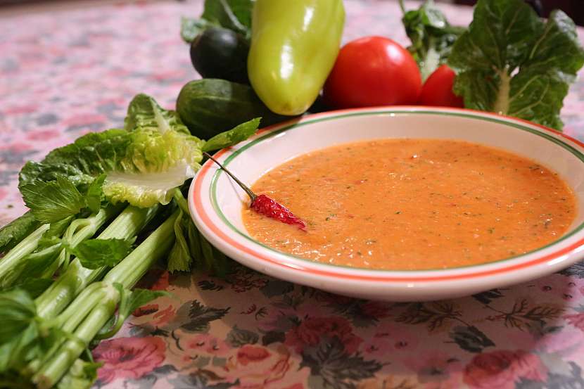 Španělská polévka Gazpacho se podává za studena (Zdroj: Archiv FTV Prima)