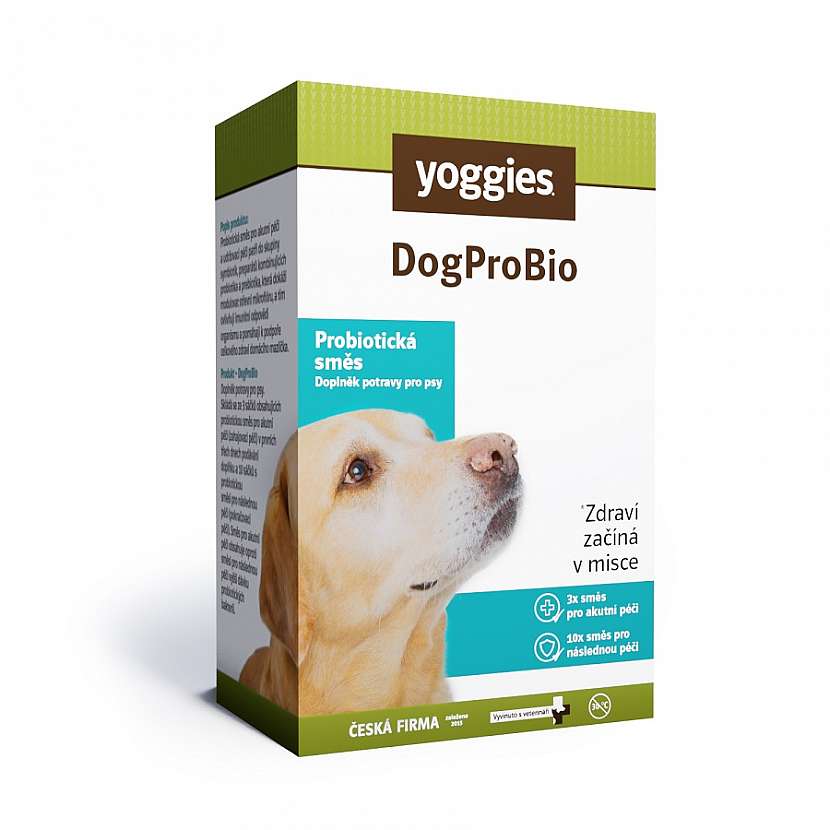 Velmi vhodné je také podávat probiotika, aby se trávení a imunita psa co nejdříve upravily