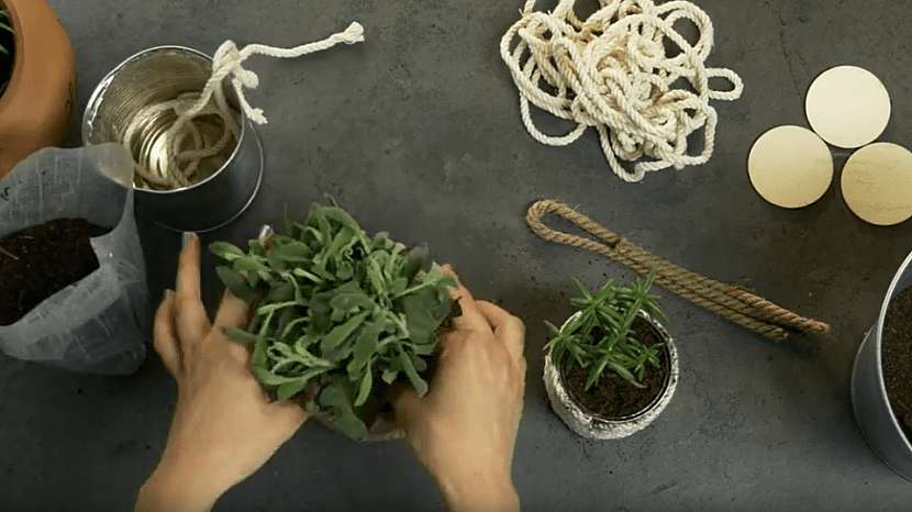 Ozdobné květináče z plechovek a provázků: zasaďte rostlinky