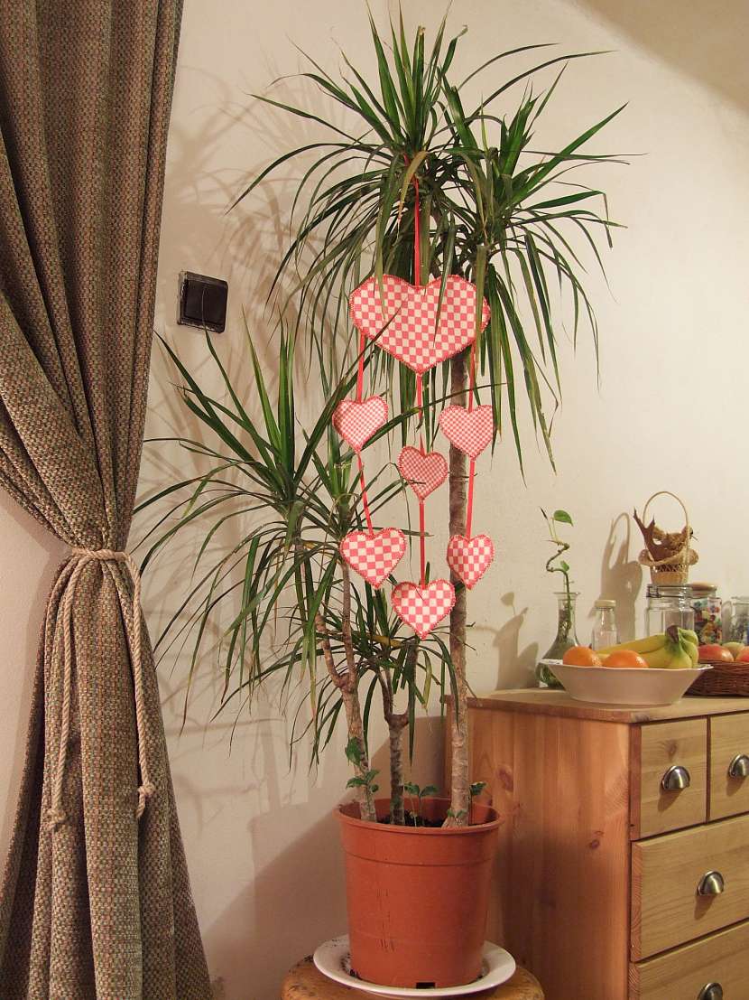 Nic nepotěší tak, jako valentýnská dekorace, kterou si sami vyrobíte (Zdroj: PePa)