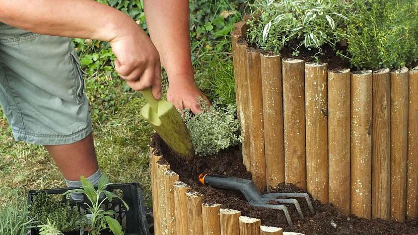 Bylinkový šnek: nakonec zasadíme byliny