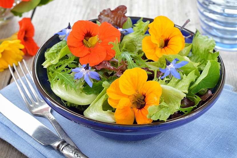 Jedlé rostliny oživí každý salát (Zdroj: Depositphotos)