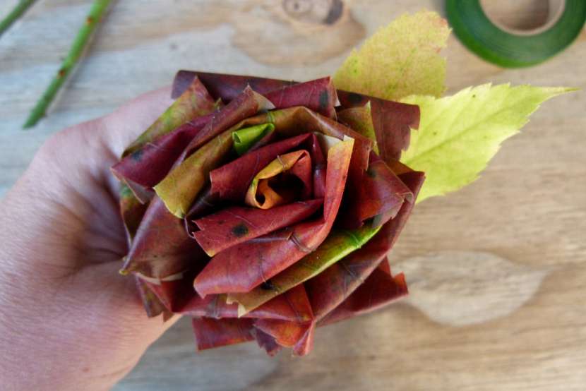 Růže z barevného podzimního listí: celý květ