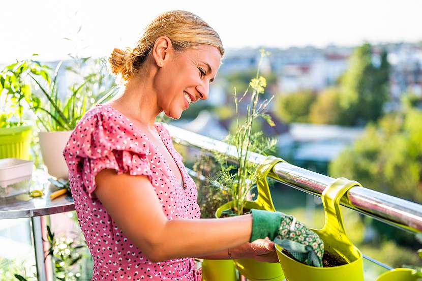 Zahrada na balkoně ve stylu syntropie vám nabízí inovativní řešení, jak můžete proměnit váš balkon v úrodný koutek plný života